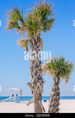 Palmen stehen am Strand vor einem Rettungsschwimmerturm, 4. März 2016, in Gulf Shores, Alabama. Stockfoto