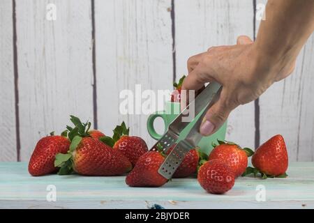 Menschliche Hand pflücken Erdbeeren mit Zangen, auf einem weißen Holzhintergrund Stockfoto