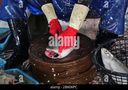 Ein Fischhändler in Taiwan reinigt Fisch auf einem lokalen Feuchtmarkt. Stockfoto