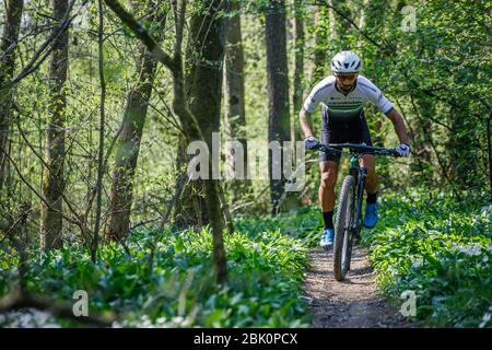 09. April 2020, Baden-Württemberg, Kirchheim unter Teck: Mountainbiker Manuel Fumic, 38, trainiert mit seinem Mountainbike in den Wäldern rund um seine Heimatstadt. Die ersatzlose Absage der Mountainbike-WM in Albstadt trifft vor allem die lokalen Athleten hart. Für den vierfachen Olympiateilnehmer Manuel Fumic war die Veranstaltung in seiner Heimatstadt, die auf Ende Juni datiert wird, noch wichtiger als die Olympischen Spiele in Tokio. (Zu dpa: Mountainbiker Fumic: Die Heimweltmeisterschaft war sogar ein größeres Ziel als die Olympischen Spiele) Foto: Philipp von Ditfurth/dpa Stockfoto