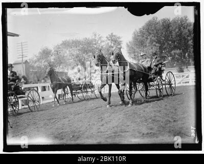 HORSE SHOW. Meilen, NELSON APPLETON., LT. GEN., USA. Stockfoto