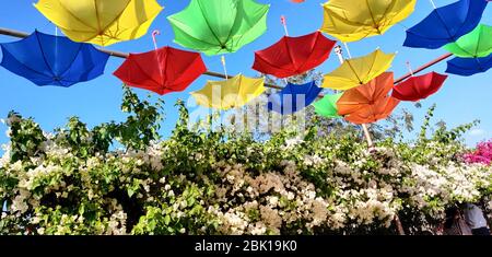 Bunte Sonnenschirme Stockfoto