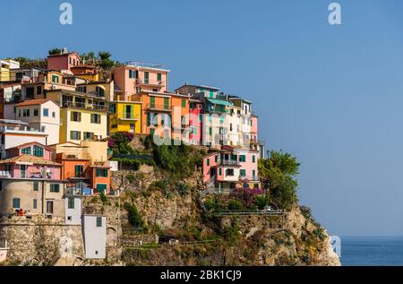 Manarola Dorf in Cinque Terre, Italien, mit seinen bunten Häusern. Stockfoto