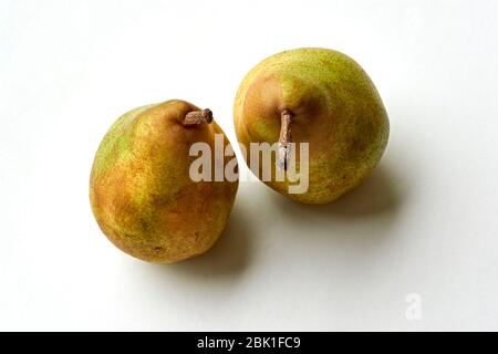 Nahaufnahme von zwei reifen Birnen auf weißem Hintergrund mit Kopierraum. Stockfoto