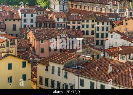 Blick auf die alte italienische Stadt mit bunten Häusern in der Toskana von oben. Stockfoto