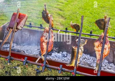 Auf dem Herd backen Karpfen und Speck, die auf einen Stock geladen werden. Stockfoto