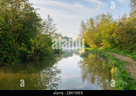 Nebel und Reflexionen entlang des Oxford-Kanals an einem Frühlingsmorgen kurz nach Sonnenaufgang. Upper Heyford, Oxfordshire, England Stockfoto