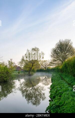 Nebel- und Baumreflexionen entlang des Oxford-Kanals an einem Frühlingsmorgen kurz nach Sonnenaufgang. Kings sutton, Northamptonshire, England Stockfoto