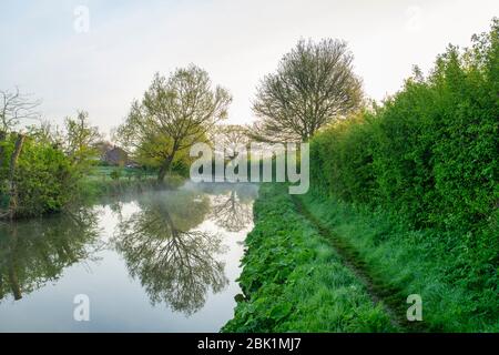 Nebel- und Baumreflexionen entlang des Oxford-Kanals an einem Frühlingsmorgen kurz nach Sonnenaufgang. Kings sutton, Northamptonshire, England Stockfoto