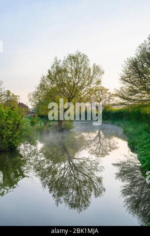 Nebel- und Baumreflexionen entlang des Oxford-Kanals an einem Frühlingsmorgen kurz nach Sonnenaufgang. Kings sutton, Northamptonshire, England Stockfoto