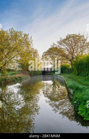 Nebel- und Baumreflexionen entlang des Oxford-Kanals an einem Frühlingsmorgen kurz nach Sonnenaufgang. Kings sutton, Northamptonshire, England Stockfoto