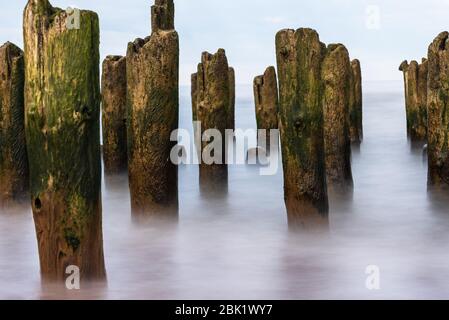 Alte Holzpfähle an der Küste der Ostsee in der Vergangenheit mit einer Erinnerung an die alten Zeiten der Fischerei an den Ufern der Ostsee Stockfoto