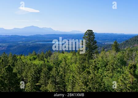 Larb Hollow Blick auf Utah Scenic Byway 12 in der Nähe von Torrey, Utah Stockfoto