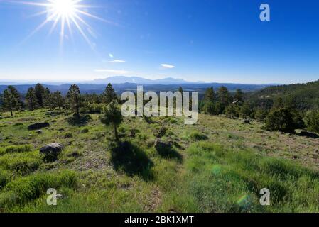 Larb Hollow Blick auf Utah Scenic Byway 12 in der Nähe von Torrey, Utah Stockfoto