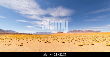 Atemberaubende Panorama-Blick auf die berühmte wilde Siloli-Wüste. Wunderschöne Landschaft der spektakulären bolivianischen Anden und der Altiplano entlang der malerischen Straße zwischen Stockfoto