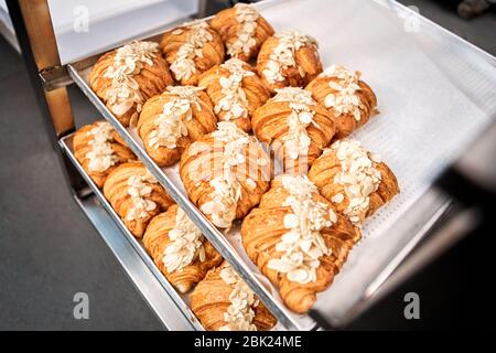 Kleinunternehmen. Bäckerei Produktion Croissants mit Mandelflocken auf Tablett Draufsicht close-up Stockfoto