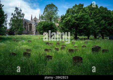 St Mary's Church behauptet, die drittgrößte Pfarrkirche in England zu sein, mit dem zweitlängsten Gang und dem größten Westfenster. Es ist auch die Stadtkirche, Bury St. Edmunds und Borough. Stockfoto