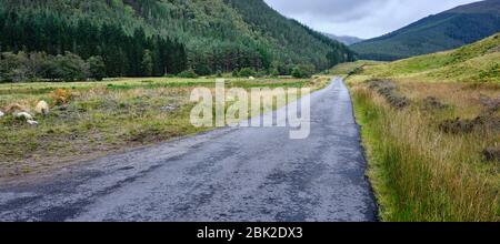 Strathconon Forest, Muir of Ord, Inverness-Shire, Schottland, Großbritannien. 25/09/19 auf der Straße von Muir of Ord nach Scardroy am Fluss Meig Stockfoto