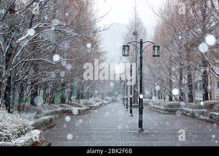 Schöne Landschaft der Straße mit Straßenlampen an verschneiten Tag, Bundang-gu, Seongnam-si, Korea Stockfoto