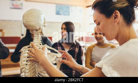 Studenten und Professor mit Skelett im Klassenzimmer an der High School. Die Professorin verwendet ein Modell des menschlichen Skelettsystems während einer Biologievorlesung Stockfoto