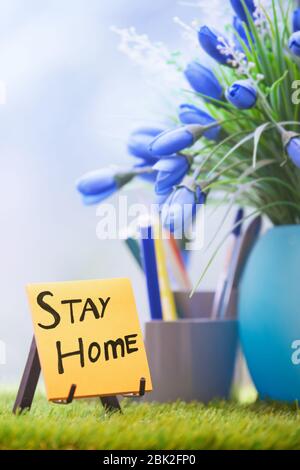 Haftnotiz mit Stay Home Text im grünen Büro Stockfoto