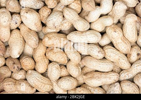 Viele rohe Erdnüsse in ihrer Schale Textur Stockfoto