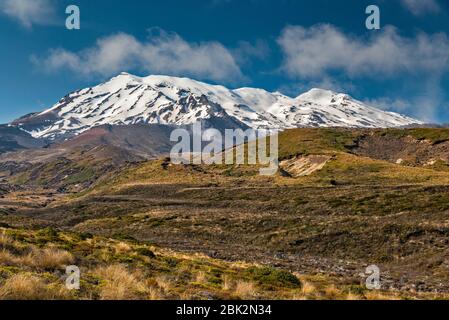 Mount Ruapehu, rollende Steinhügel, Tongariro Northern Circuit Trail, Tongariro National Park, Manawatu-Wanganui Region, Nordinsel, Neuseeland Stockfoto