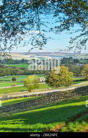 Wensleydale Herbstfarben, in der Nähe von Wensley Dorf, Blick auf Bolton Castle, Yorkshire, England, Großbritannien Stockfoto