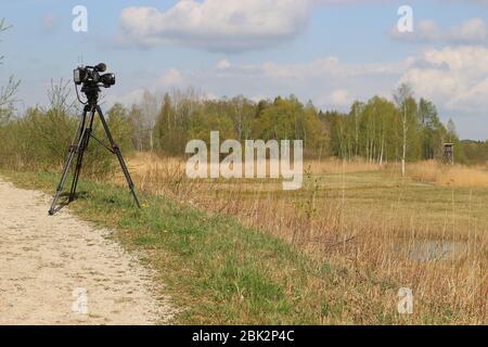 Im Weidmoos Moorland, einem österreichischen Naturschutzgebiet, wird eine Filmkamera aufgestellt. Oberösterreich, Europa. Stockfoto