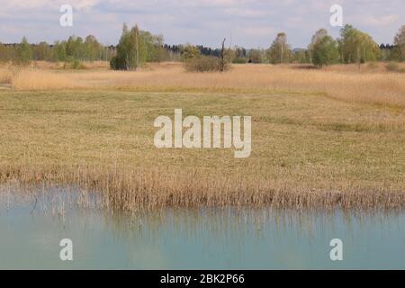 Im Weidmoos Moor, einem österreichischen Naturschutzgebiet. Oberösterreich, Europa. Stockfoto