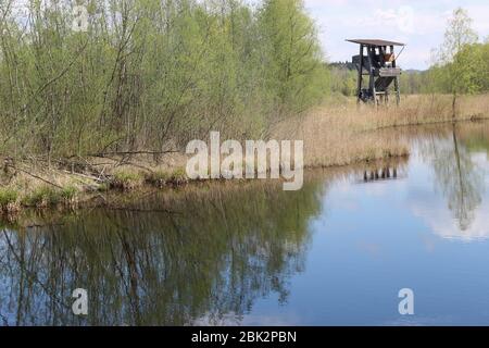 Moorsee im Weidmoos Moorland, einem österreichischen Naturschutzgebiet. Oberösterreich, Europa. Stockfoto