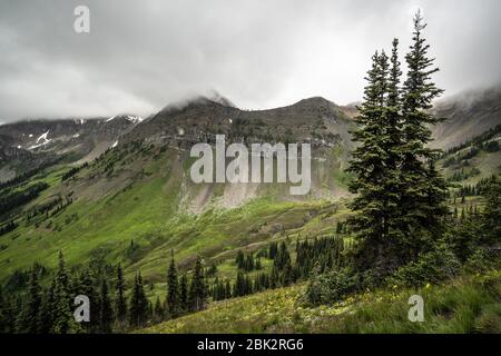 Der Washington Abschnitt des Pacific Crest Trail in den North Cascades mit Blick auf wolkenbedeckte Felsberge und Schnee. Stockfoto