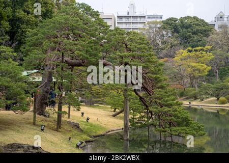 Rikugien Garten (sechs Gedichte Garten), schöner japanischer Landschaftsgarten in Tokio, Japan Stockfoto