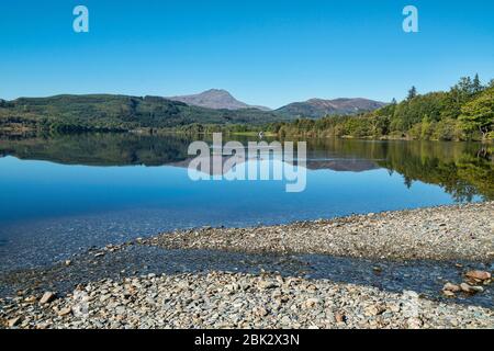 Loch ARD schaut nach Ben lomond, in der Nähe von Aberfoyle, Stirlingshire; trossachs; Schottland Großbritannien Stockfoto