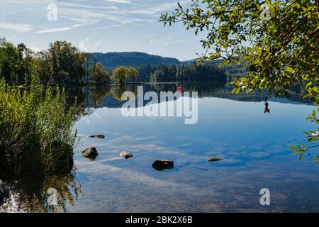 Loch ARD, in der Nähe von Aberfoyle, Stirlingshire; trossachs; Schottland, Großbritannien Stockfoto