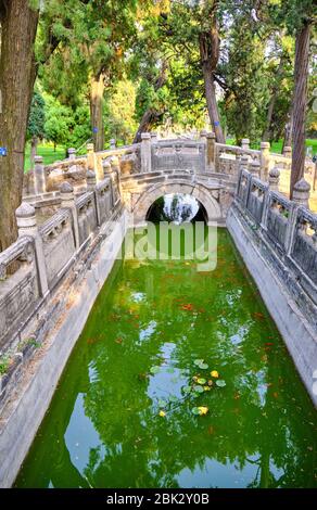 Traditioneller chinesischer Garten am Konfuzius-Tempel, UNESCO-Weltkulturerbe in Qufu, Provinz Shandong, China Stockfoto