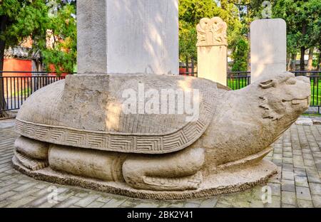 Bixi, Steindrachen Schildkrötenbasis von Stele mit Gedenkinschriften am Konfuzius-Tempel, UNESCO-Weltkulturerbe in Qufu, Shandong Provinc Stockfoto