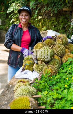 Balinesin, die Durians am Straßenrand verkauft, Ubud, Bali, Indonesien Stockfoto