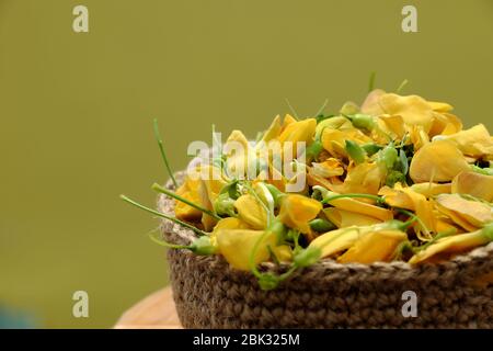 Korb mit Wildgemüse, Flussbohne mit Namen sesbania Sesban, ein typischer Rohstoff für saure Suppe in der Überschwemmungszeit am Mekong Delta, Vietnam Stockfoto