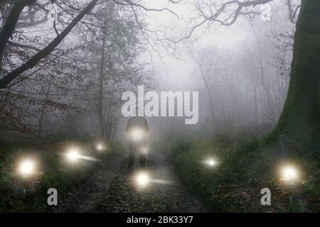 Eine finstere Kapuzenfigur auf einem Waldweg. An einem nebligen Abend. Umgeben von glühenden übernatürlichen Lichtern Stockfoto