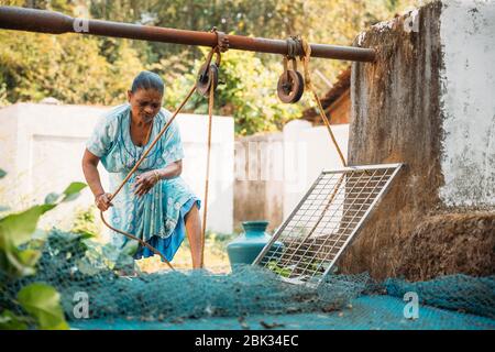 Velha Goa, Goa, Indien - 18. Februar 2020: Frau Zieht Wasser Aus Brunnen. Stockfoto