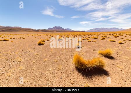Atemberaubende Panorama-Blick auf die berühmte wilde Siloli-Wüste. Wunderschöne Landschaft der spektakulären bolivianischen Anden und der Altiplano entlang der malerischen Straße zwischen Stockfoto