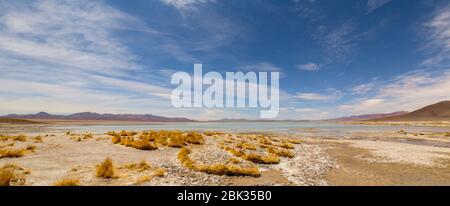 Schöne Landschaft von Laguna Chalviri, bei Aguas Termales Chalviri, im Süden Boliviens. Im Hintergrund Bolivianische Anden und Altiplano in prächtigem Stockfoto