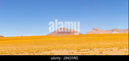 Atemberaubende Panorama-Blick auf die berühmte wilde Siloli-Wüste. Wunderschöne Landschaft der spektakulären bolivianischen Anden und der Altiplano entlang der malerischen Straße zwischen Stockfoto