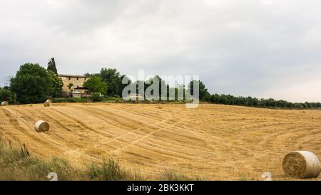 Hügel der Marken im Frühjahr. Landwirtschaftliche Felder. Ländliche Landschaft. Italien Stockfoto
