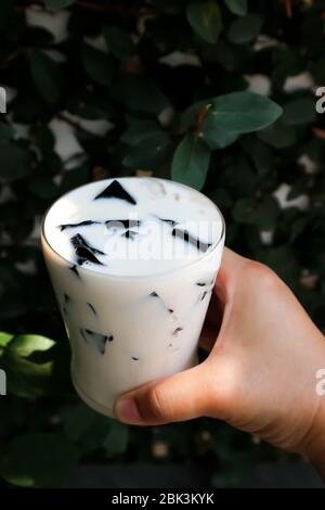 Milch mit Gelee, Gelée Milch Tee in der Draufsicht Stockfoto