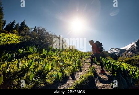 Silhouette der Tourist in mit Rucksack wandern in den Bergen. Outdoor Travel Concept Stockfoto