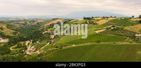 Hügel der Marken im Frühjahr. Landwirtschaftliche Felder. Ländliche Landschaft. Italien Stockfoto