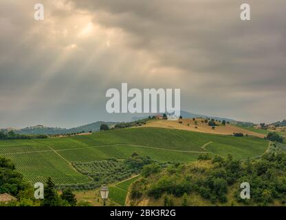 Hügel der Marken im Frühjahr. Landwirtschaftliche Felder. Ländliche Landschaft. Italien Stockfoto