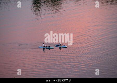 Austin, Texas, USA. April 2020. Kajakfahrer genießen mildes Frühlingswetter auf Lady Bird Lake in Austin, während Texas sich darauf vorbereitet, den Aufenthalt zu Hause und geschäftliche Beschränkungen am 1. Mai als Reaktion auf die Coronavirus-Epidemie vorsichtig zu erleichtern. Texas hat bis April fast 700 Todesfälle durch das Virus erlebt. Kredit: Bob Daemmrich/ZUMA Wire/Alamy Live News Stockfoto